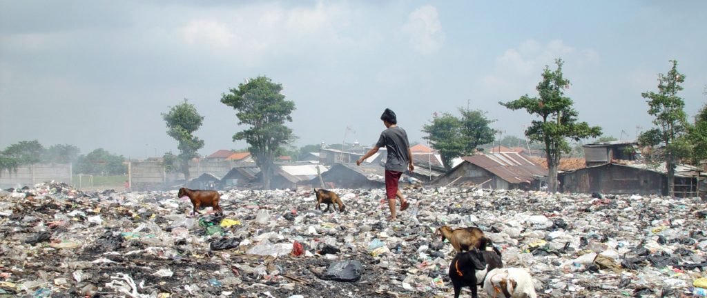 india-waste-cropped